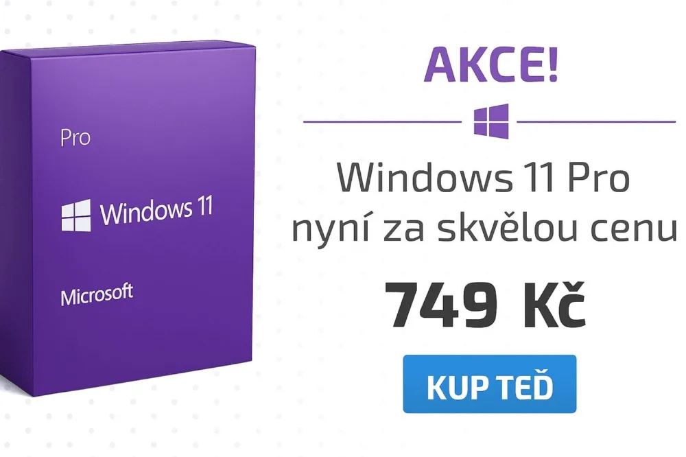 Microsoft Windows 11 Pro